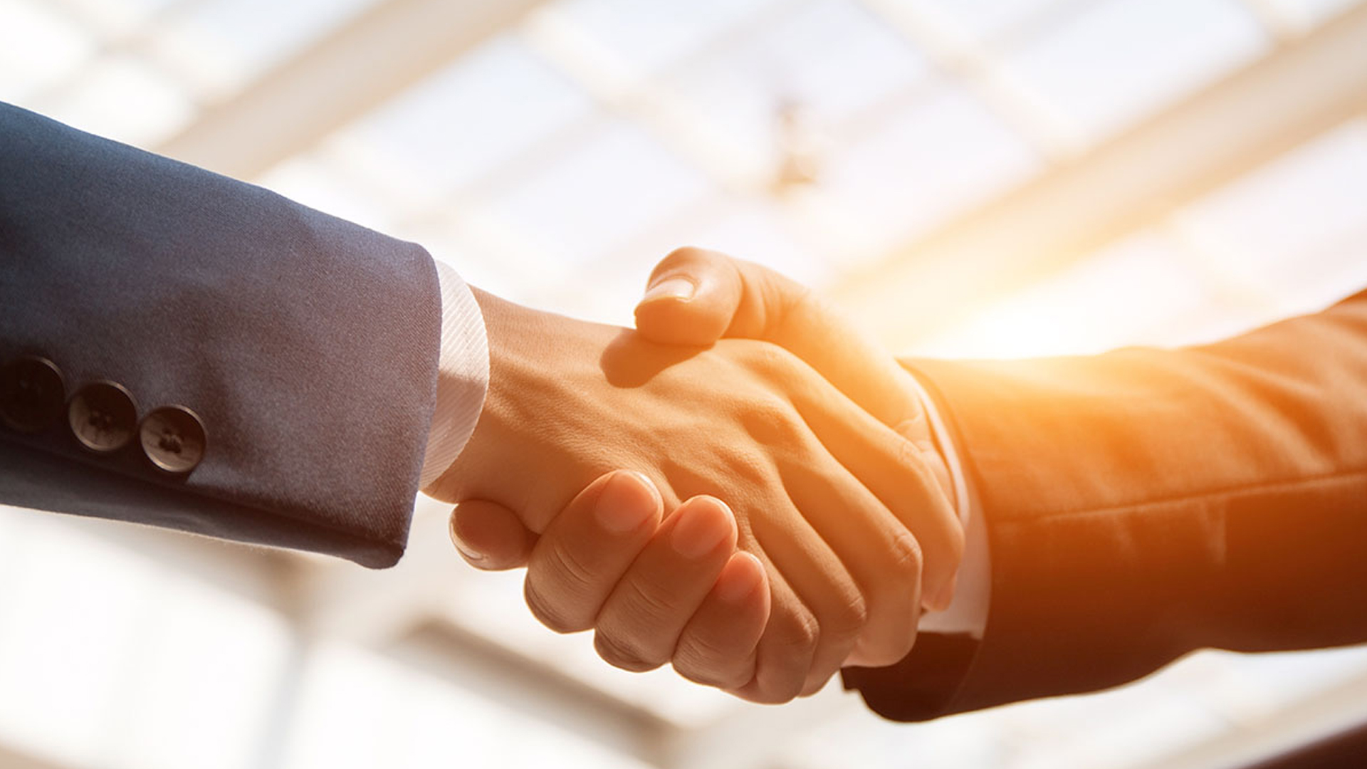 Vebsaytlarin hazirlanmasi